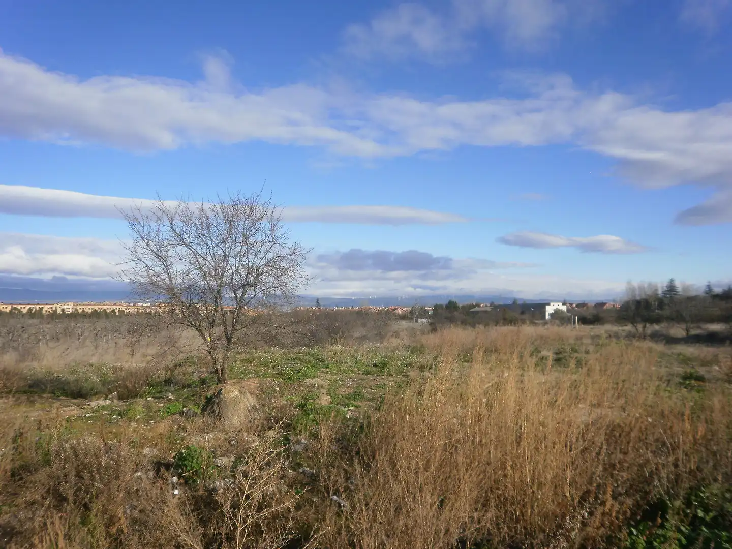 Rural land for sale in C/ La serna, imagen 7
