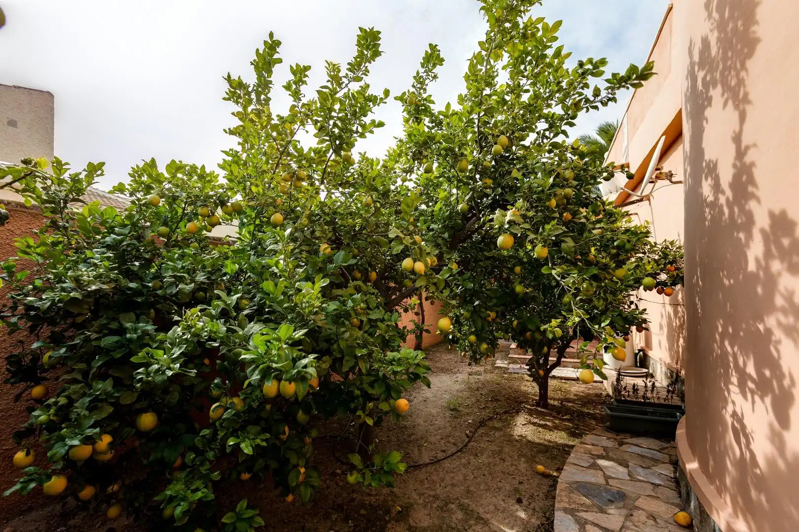 Villa mit Pool zum Verkauf in Calle HUELMA, imagen 53
