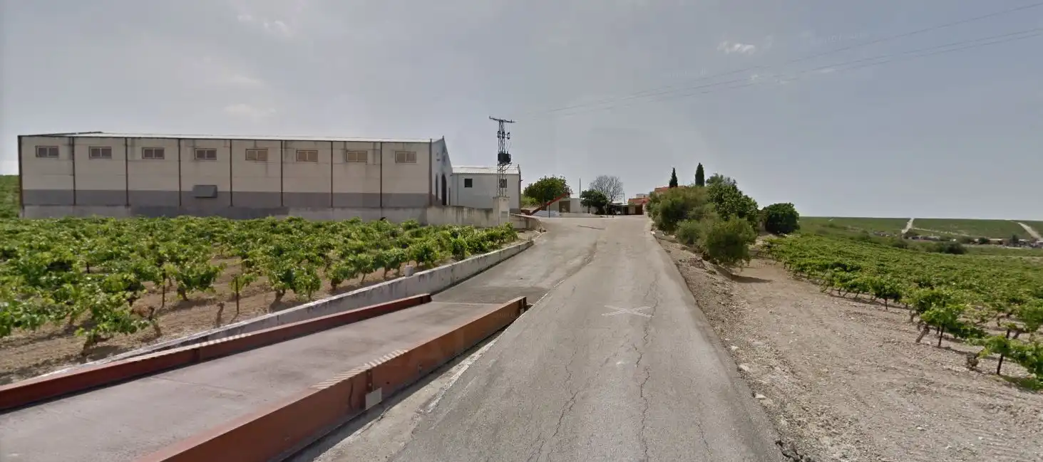 Rural land for sale in Santiago - Coronación, imagen 9