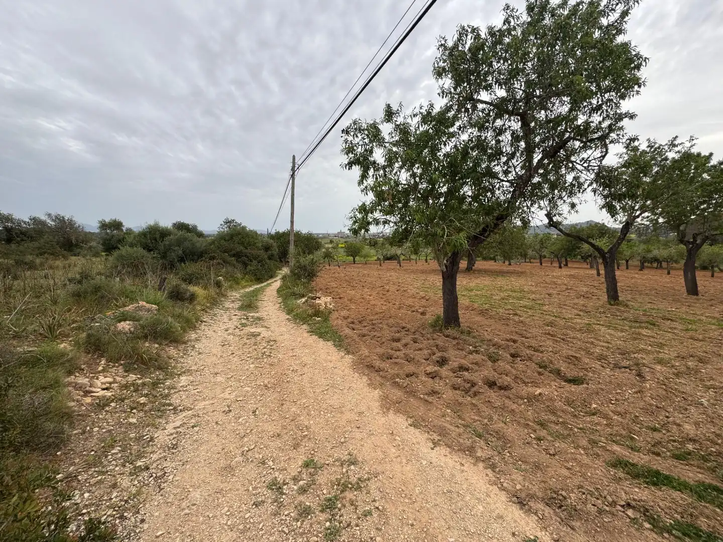 Rustikales Grundstück zum Verkauf in Camino Camí Vell de Porreres 2, imagen 11