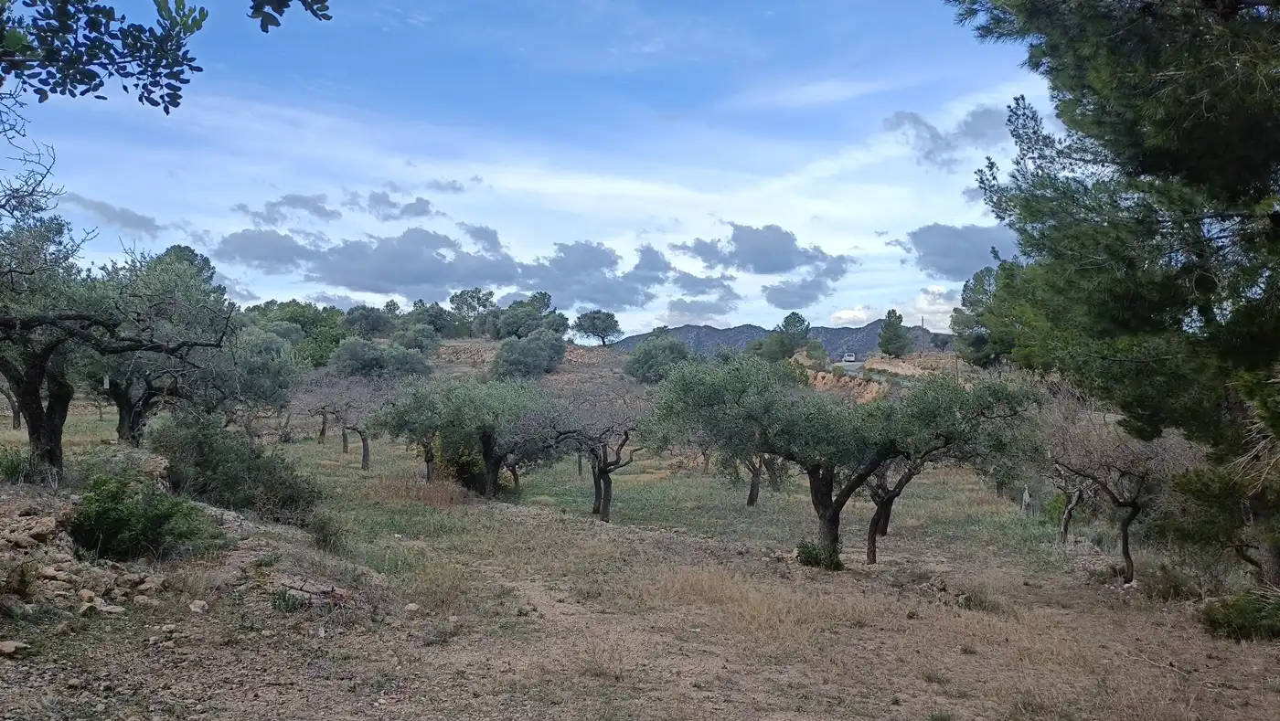 Terrain rustique à vendre à Rasquera, imagen 2