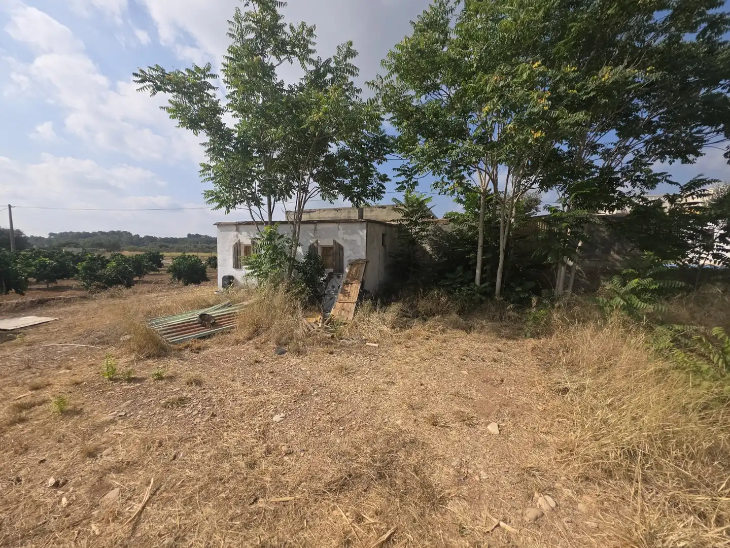Rural land for sale in Vilamarxant, imagen 17