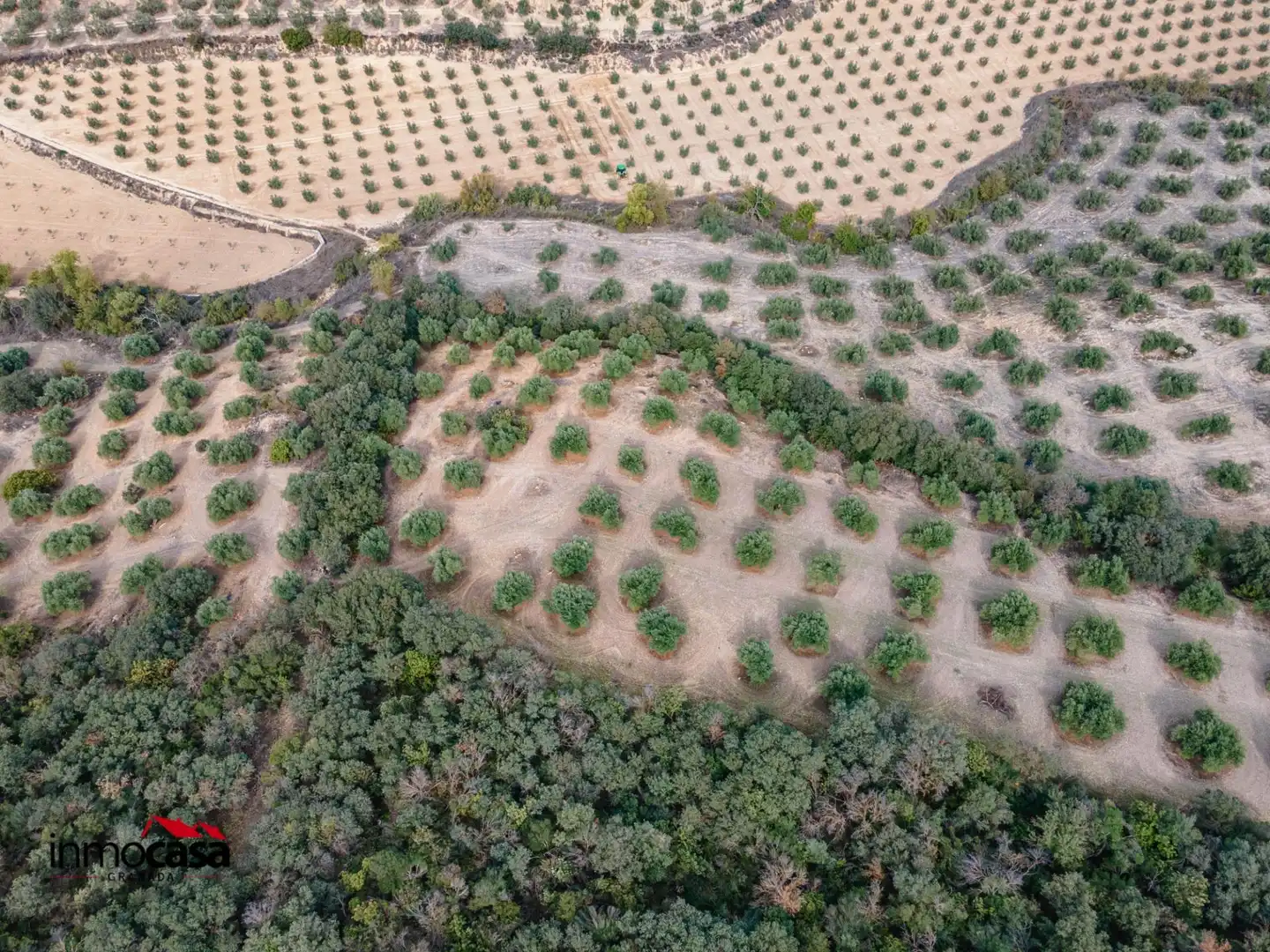 Rustikales Grundstück zum Verkauf in Íllora, imagen 17
