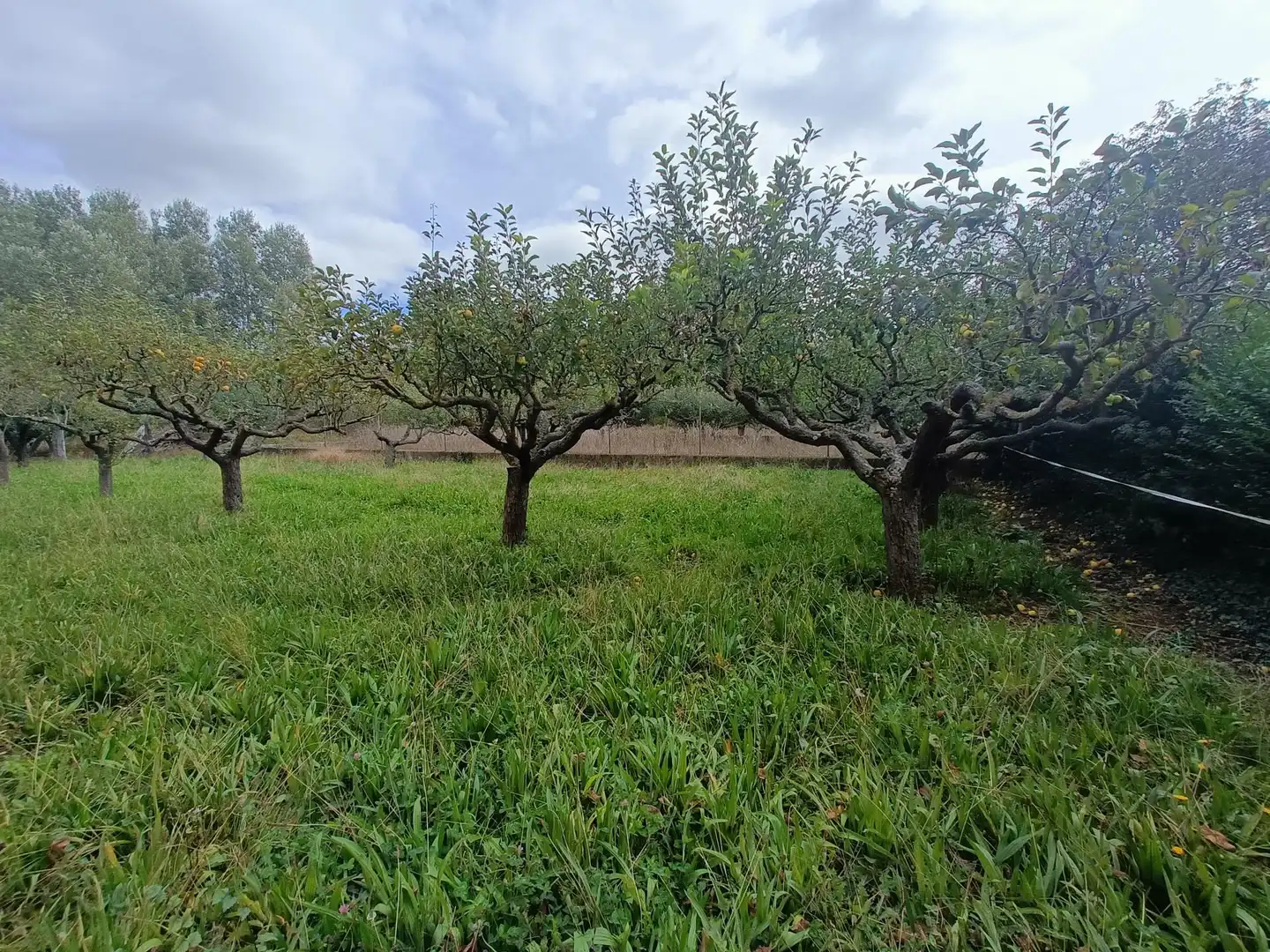 Wohnbaugrundstück zum Verkauf in Calle CACHAN-VR, imagen 22