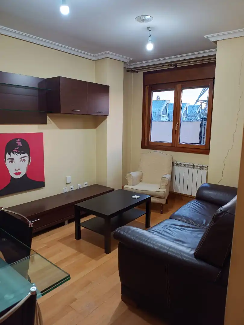 Sala de estar de Apartamento de alquiler en Palencia con Amueblado