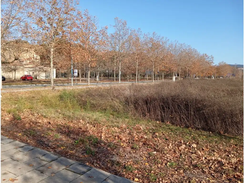 Residential land for sale in Carretera S Gregori-Domeny, imagen 6