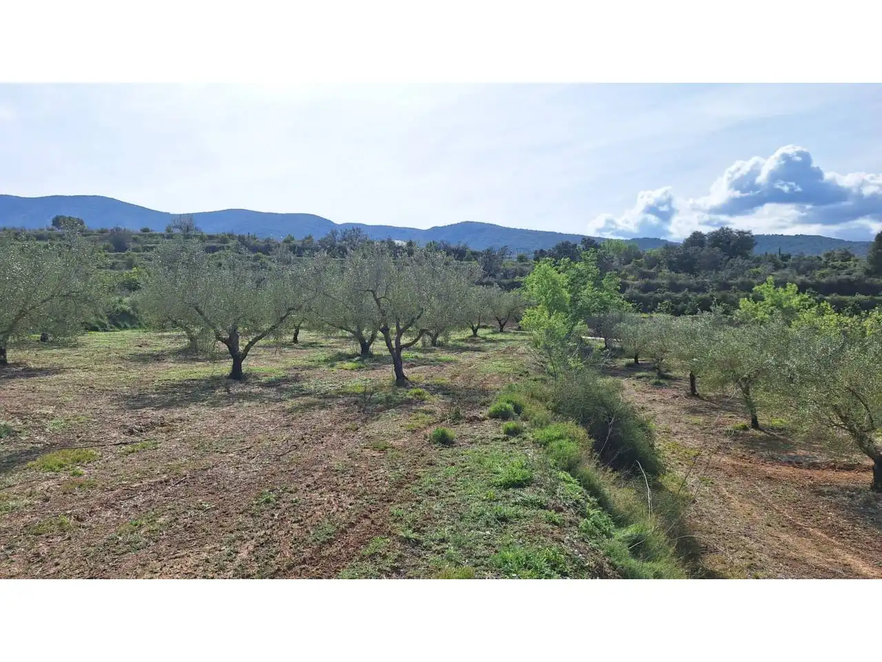 Terreno residencial en venta en Pasaje Alfogas, imagen 7