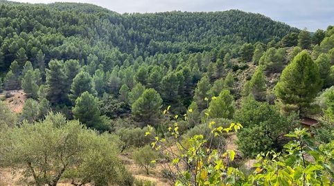 Photo 2 of Residential for sale in Portillo, Buñol, Valencia