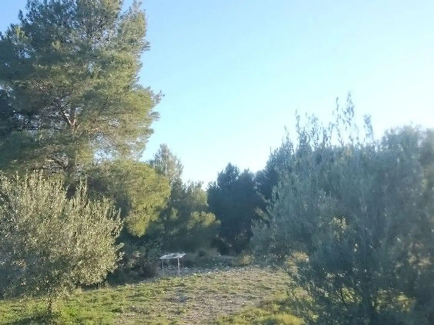 Terreni e lotti in vendita a Moratalla, imagen 4