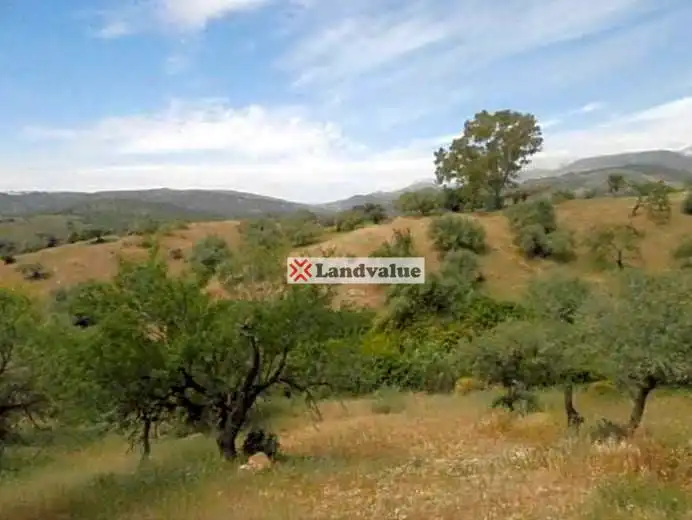 Terreno residencial en venta en Riogordo, imagen 7