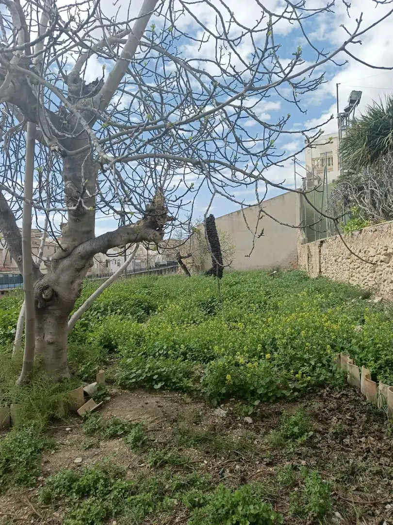 Casa con jardín en venta en Aspe Centro, imagen 8