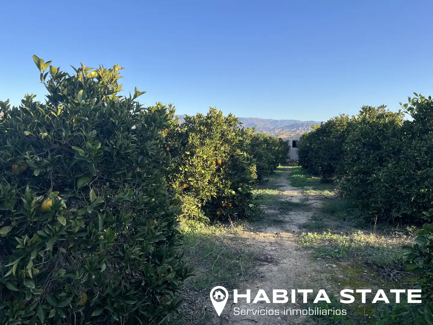 Terreno en venta en Íllar