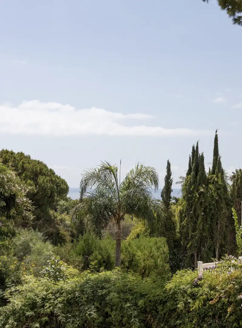 Villa mit Terrasse zum Verkauf in Las Chapas - El Rosario, imagen 17