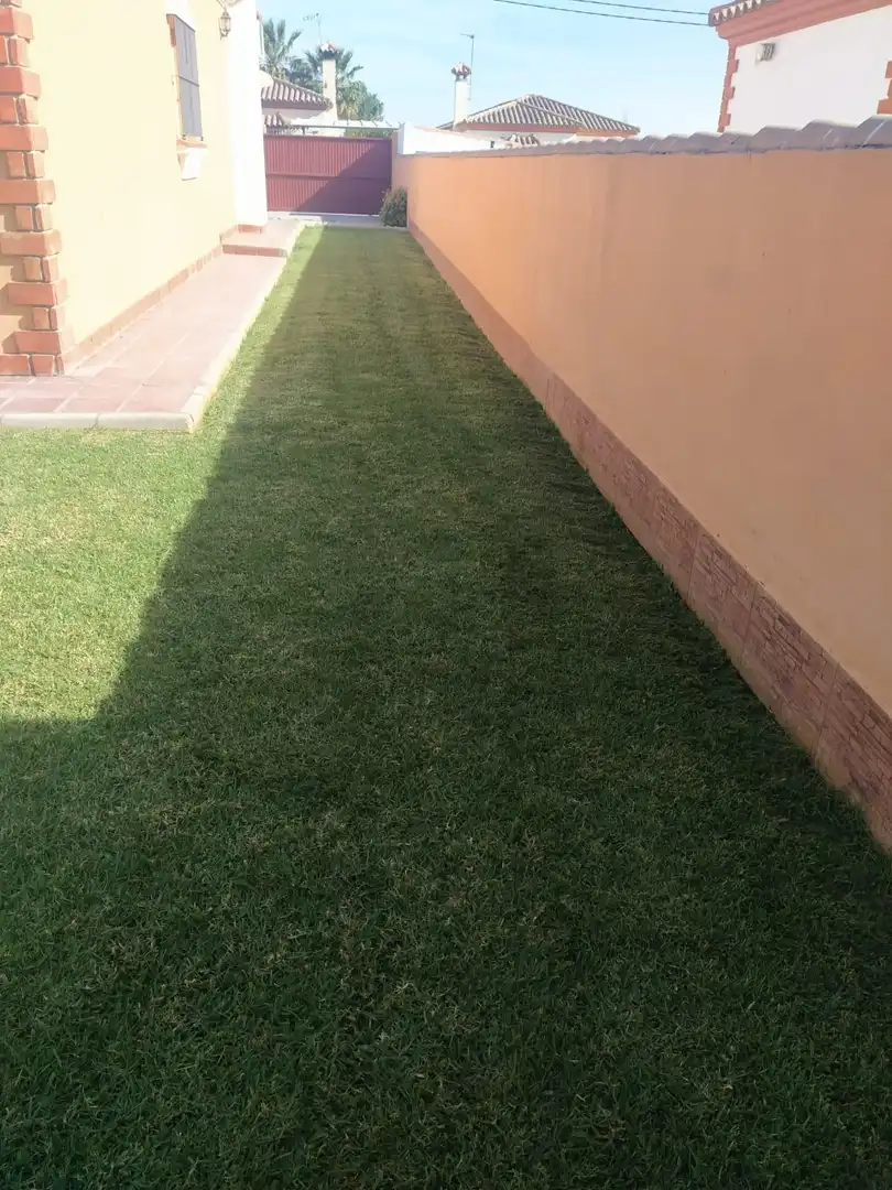 Detached house with garden for sale in Camino Camino del Pozo Boyal, imagen 27
