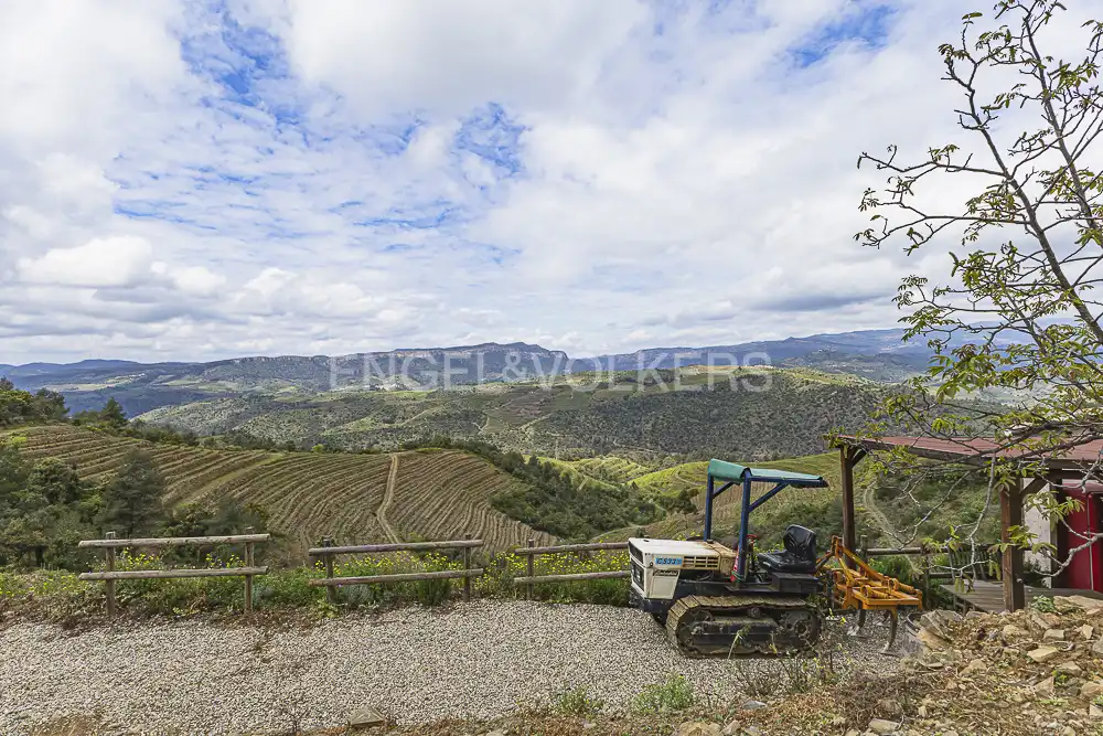 Residential land for sale in La Pobla de Claramunt, imagen 14