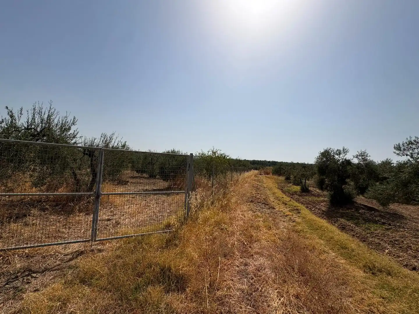 Terreno en venta en Espartinas