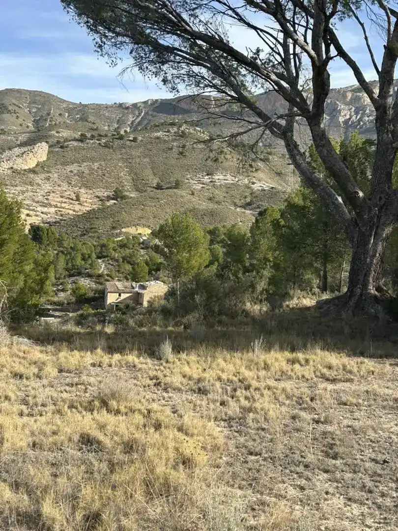 Vista exterior de Finca rústica en venda en Tibi