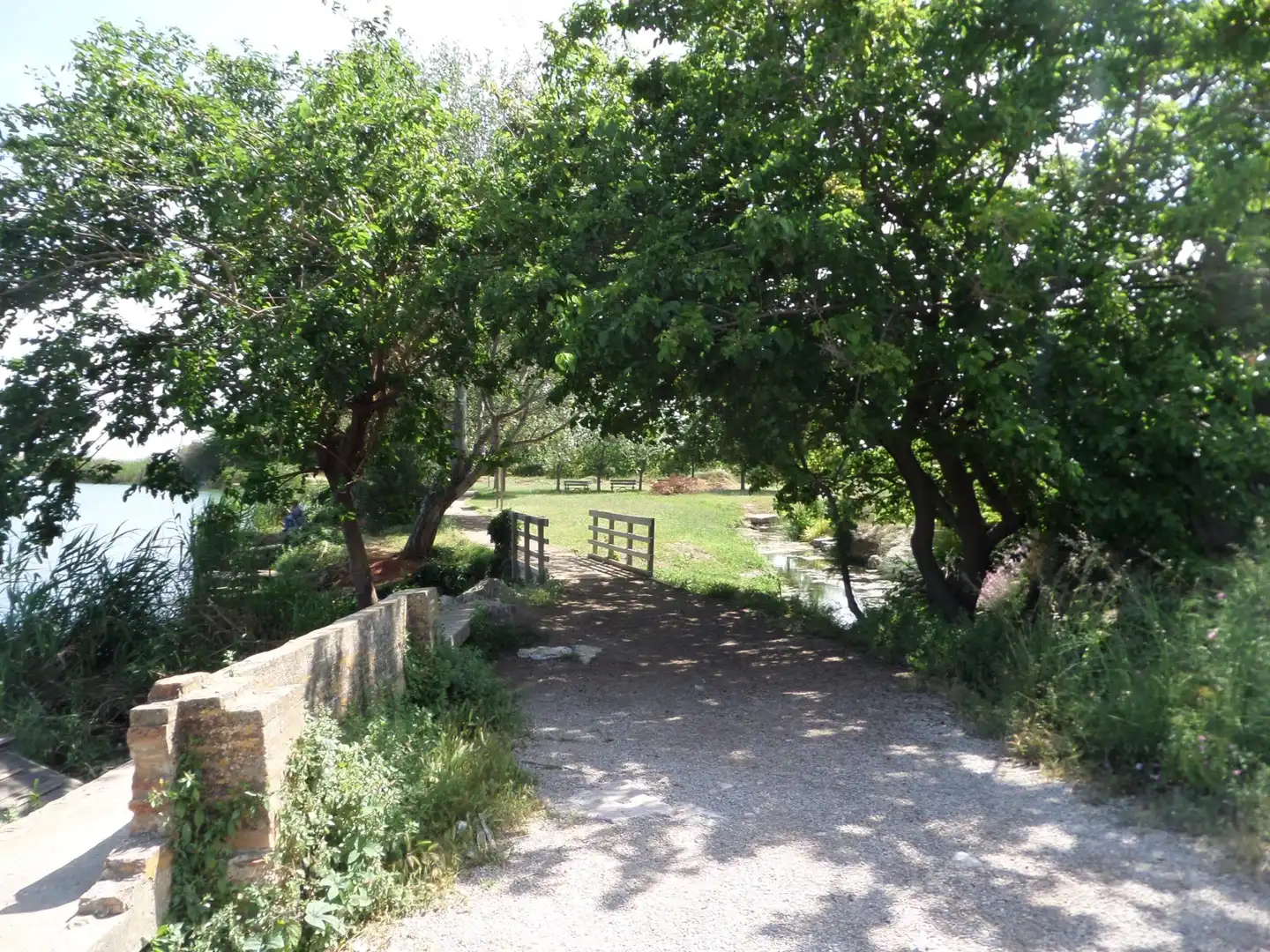 Garten von Residential zum Verkauf in Almenara