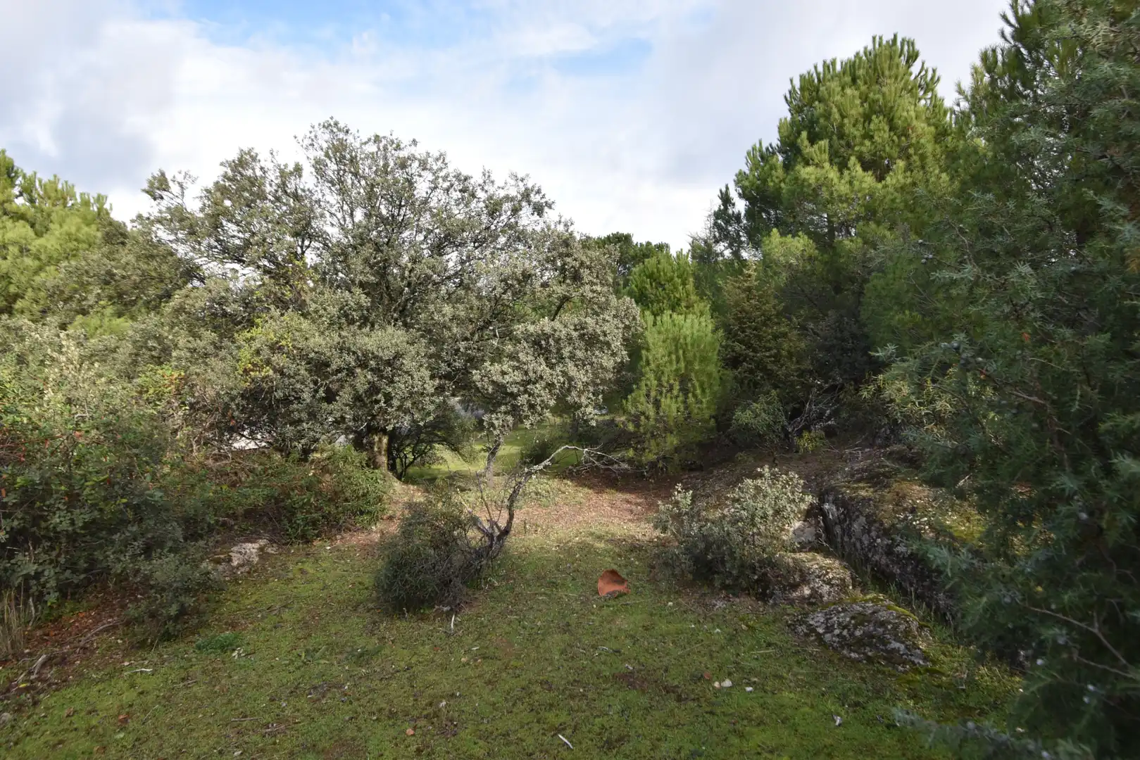 Wohnbaugrundstück zum Verkauf in Avenida Sajonia, imagen 17