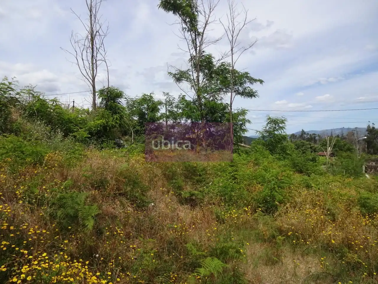 Lands and plots for sale in Salceda de Caselas, imagen 4