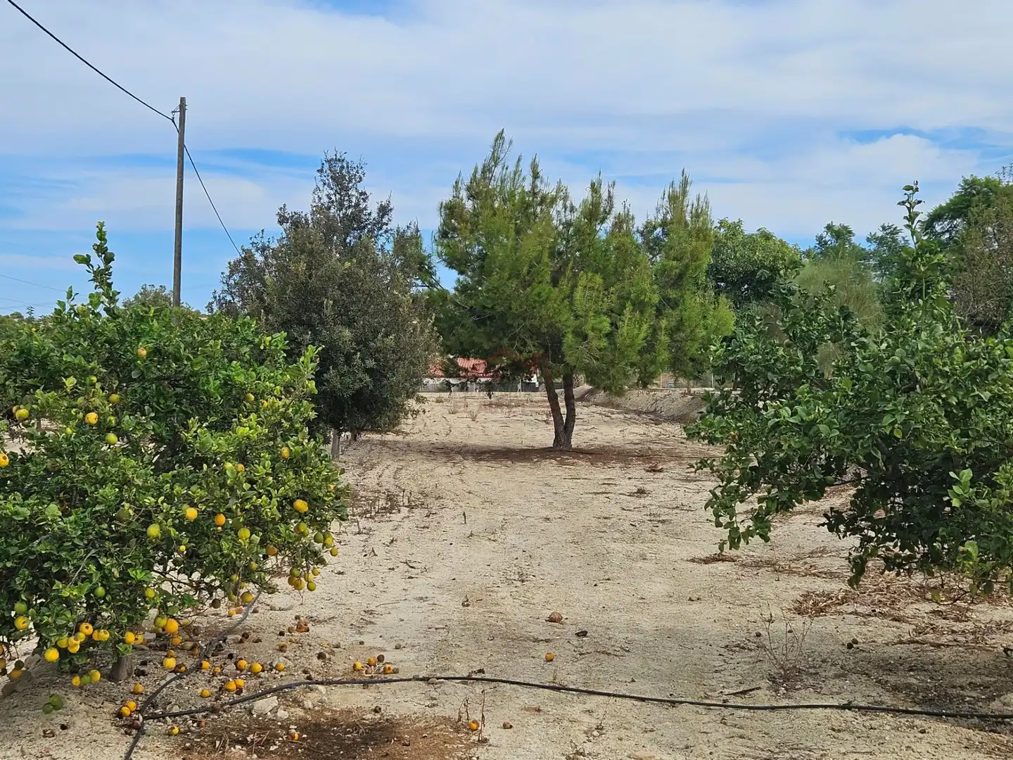 Detached house with terrace for sale in Calle Sierra Salinas, imagen 76
