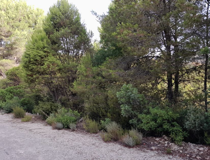 Jardín de Residencial en venta en Alginet