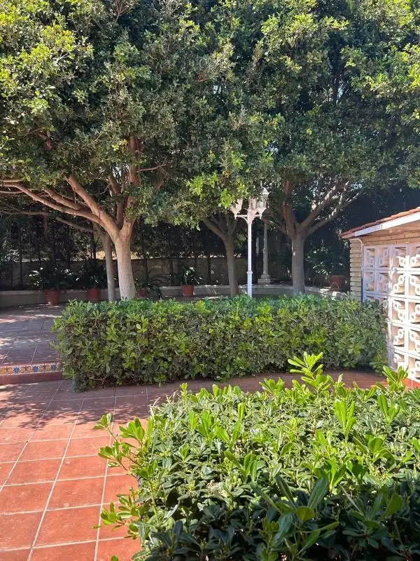 Villa con terrazza in vendita a Urb. Tancat de l'Alter, imagen 53