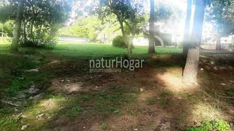 Photo 3 of Industrial land for sale in La Cañada, Valencia