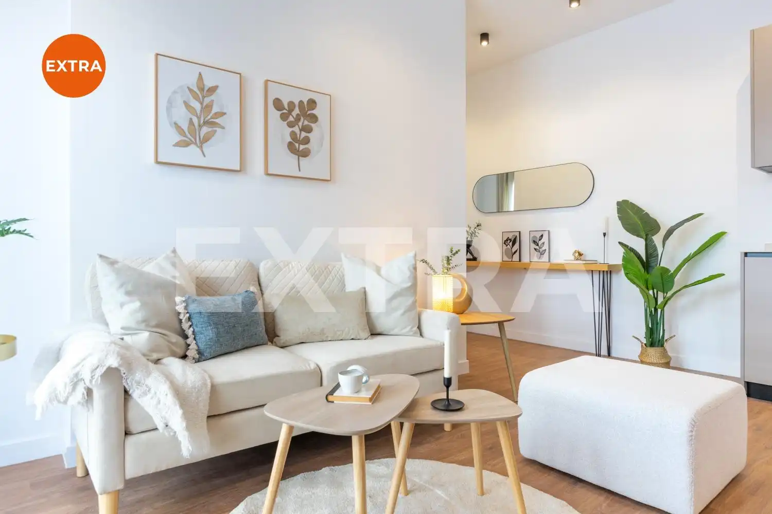 Sala d'estar de Apartament en venda en Ciudad Lineal