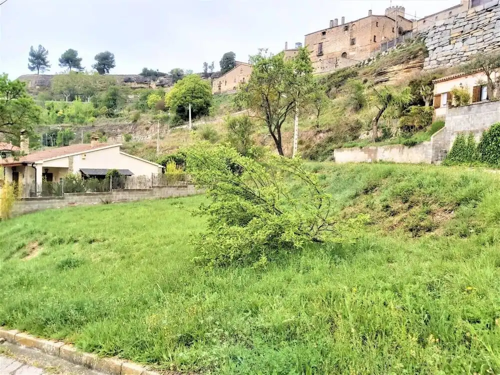 Terreny residencial en venda a Talamanca, imagen 17