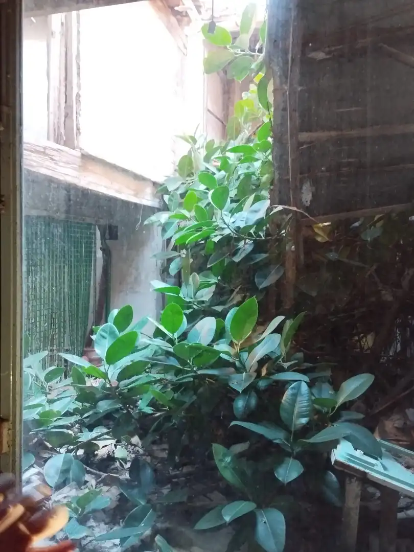 Casa con terraza en venta en Centro