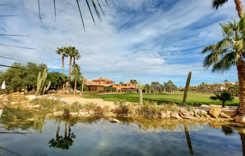 Detached house with pool for sale in Desert Spring Golf, imagen 34
