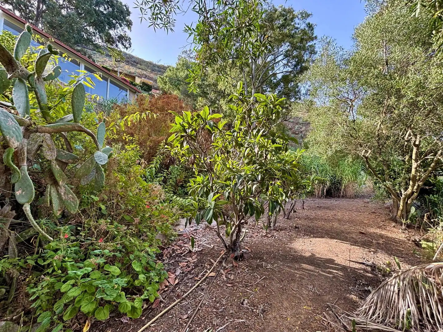 Finca rústica en venda en Santa Brígida amb Rentadora