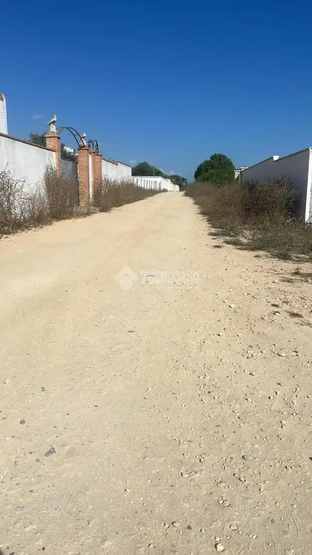 Rural land for sale in Conil, imagen 9