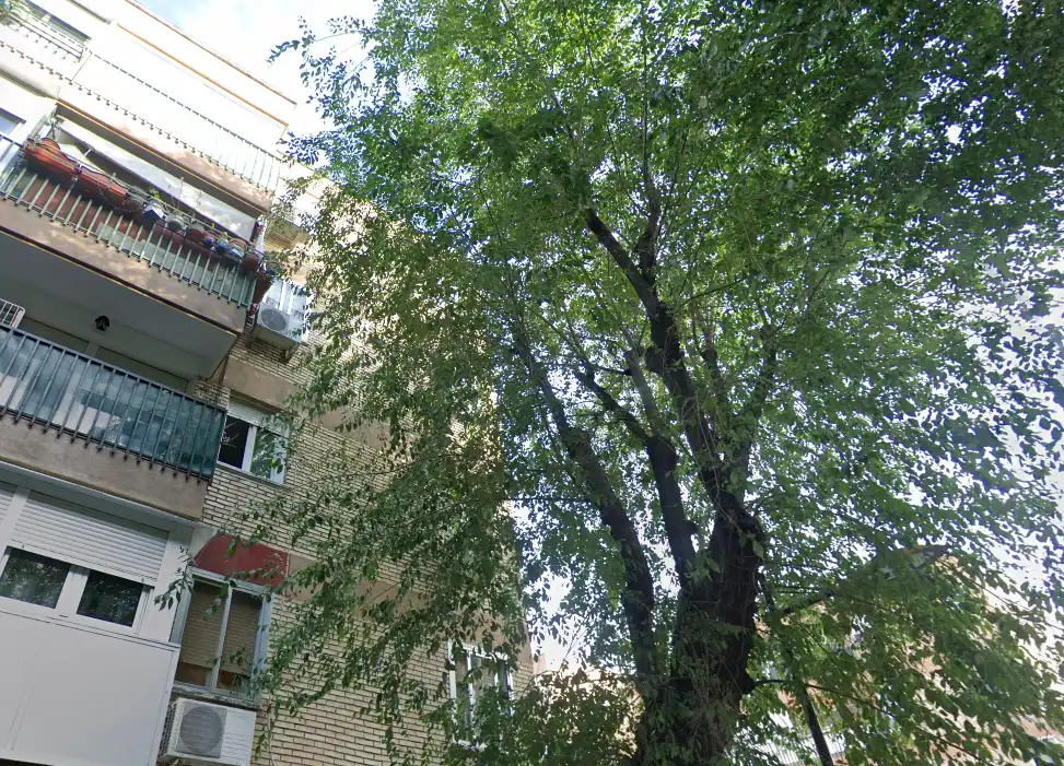 Exterior view of Houses for sale in Parla