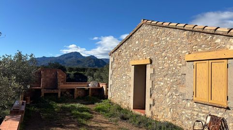 FINCA OLIVOS 15 hect., CASITA RÚSTICA Y ALMACEN AGRÍCOLA, immagine 3