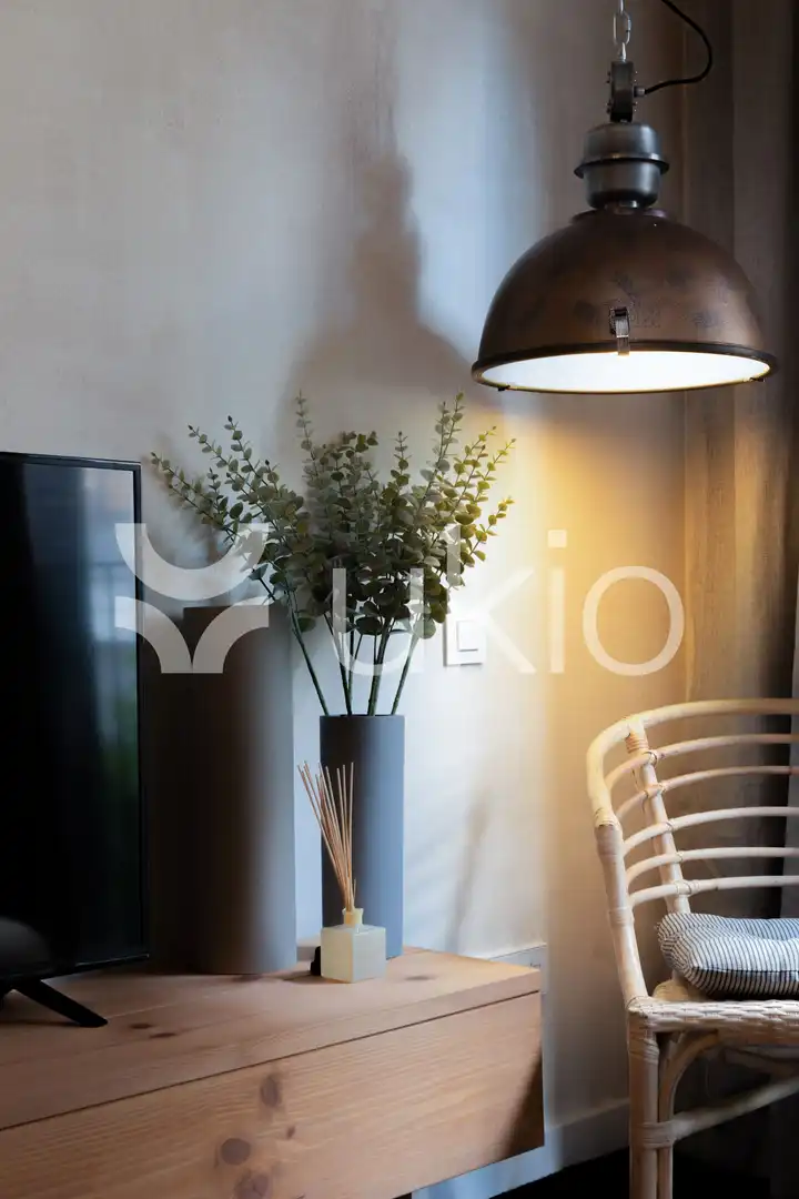 Sala d'estar de Apartament de lloguer en Barcelona amb Aire condicionat, Calefacció i Moblat