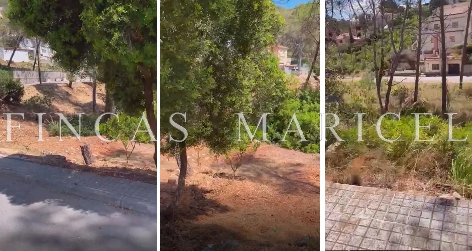 Lands and plots for sale in Olivella, imagen 7
