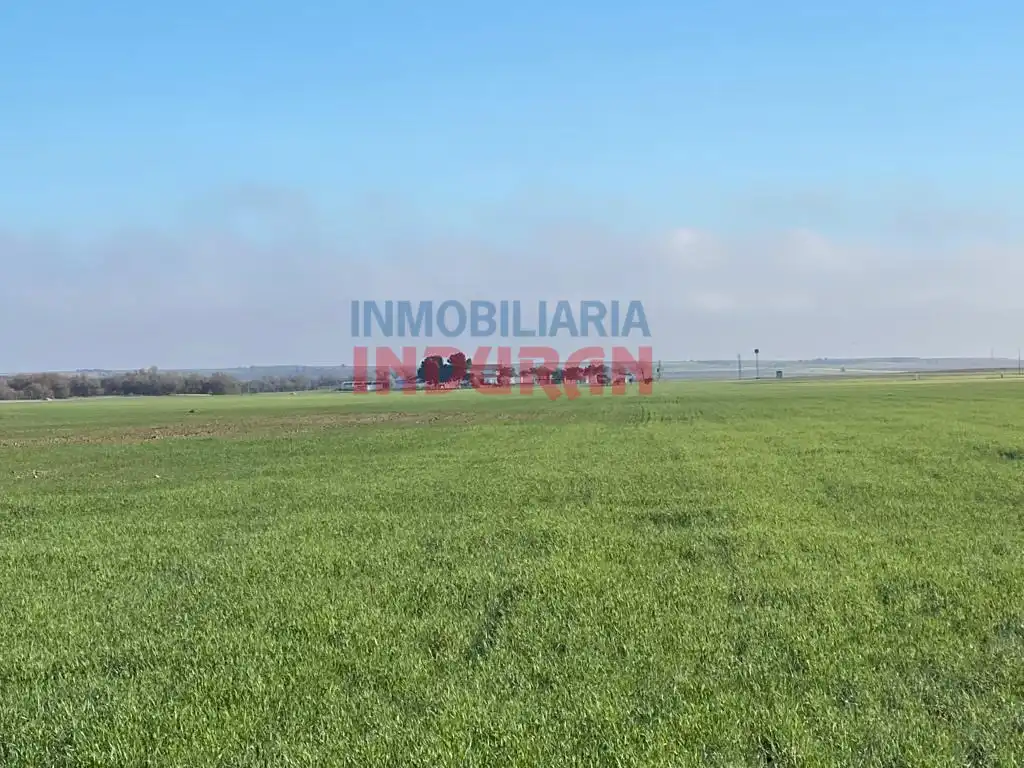 Casa rústica en venta en Avenida Castilla La Mancha, imagen 3