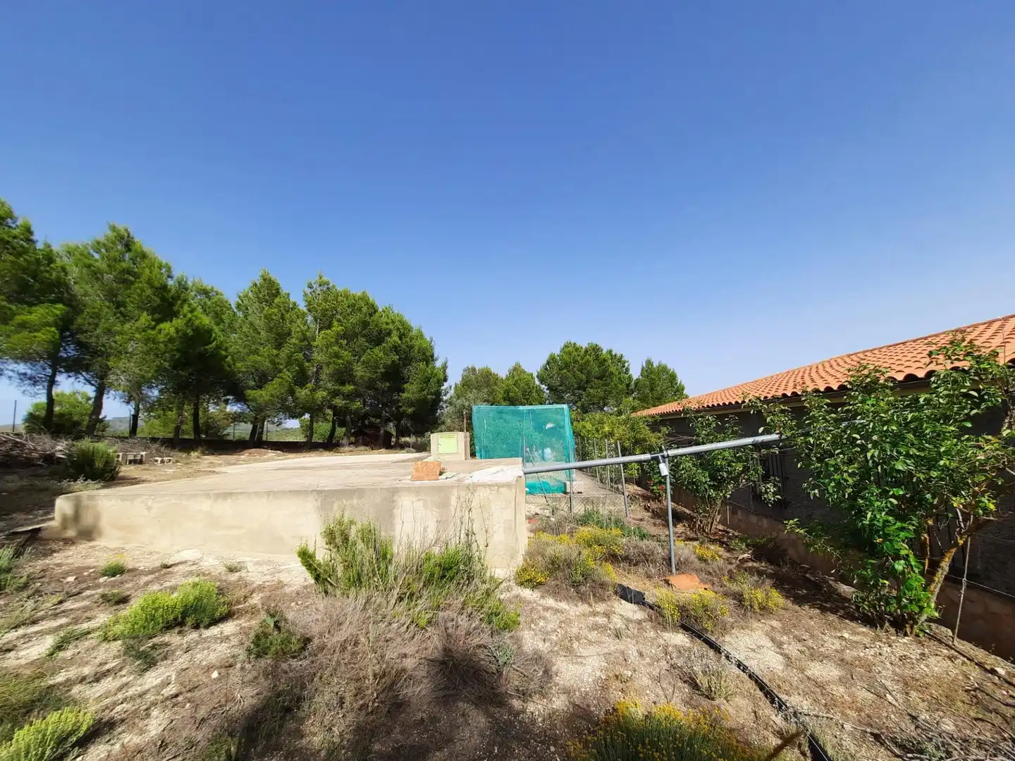 Casa o chalet en venta en Alpera con Amueblado