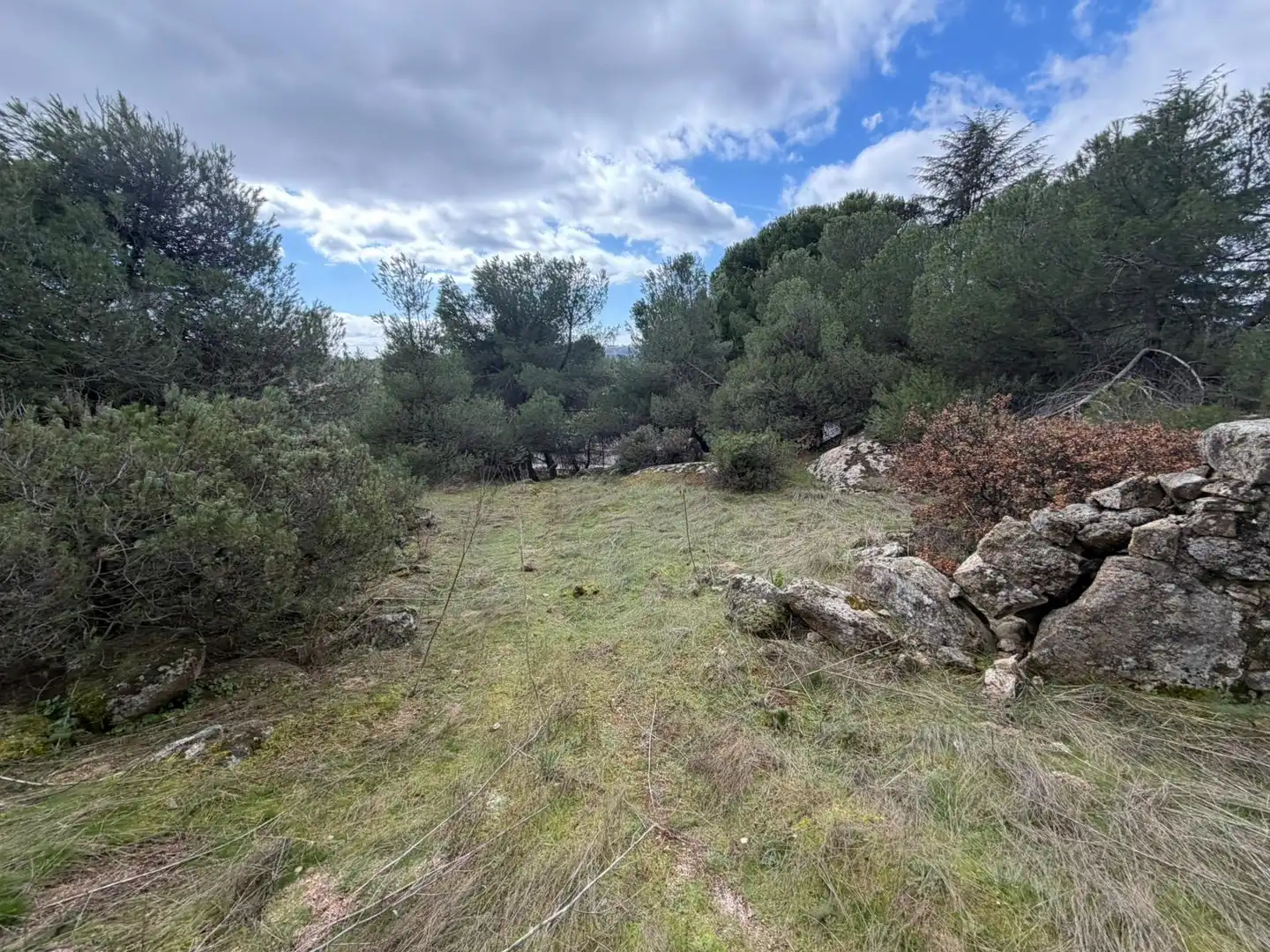 Residencial en venta en Torrelodones