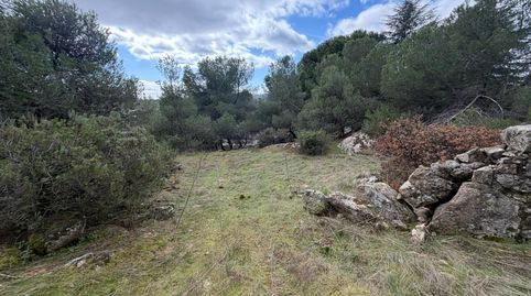 Foto 4 de Residencial en venda a Paseo de Pascual Saorín, 11, Las Marías, Torrelodones