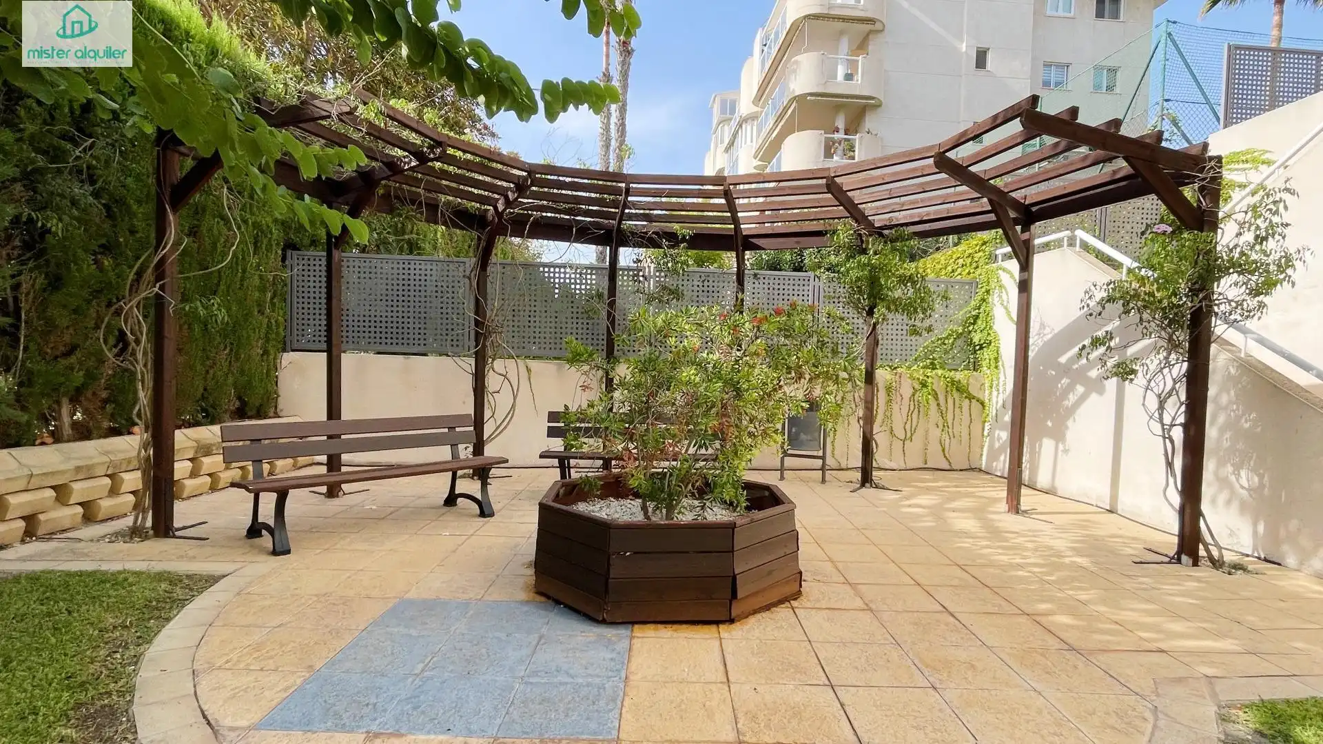 Apartament amb piscina de lloguer a PINTOR FERNANDO SORIA 11, imagen 19