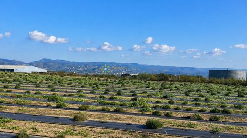 Foto 5 de Finca rústica en venda a Benigànim, Valencia