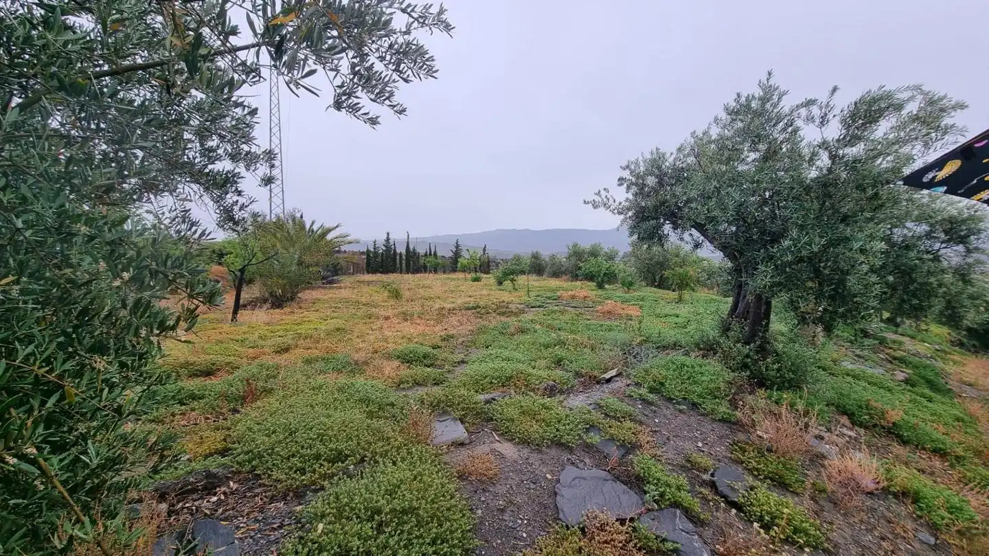 Country house with garden for sale in PARAJE PAGO DE OSCAYAR, imagen 34