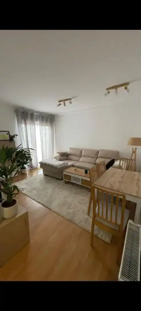 Sala d'estar de Pis de lloguer en Madrid amb Jardí privat, Parquet i Moblat
