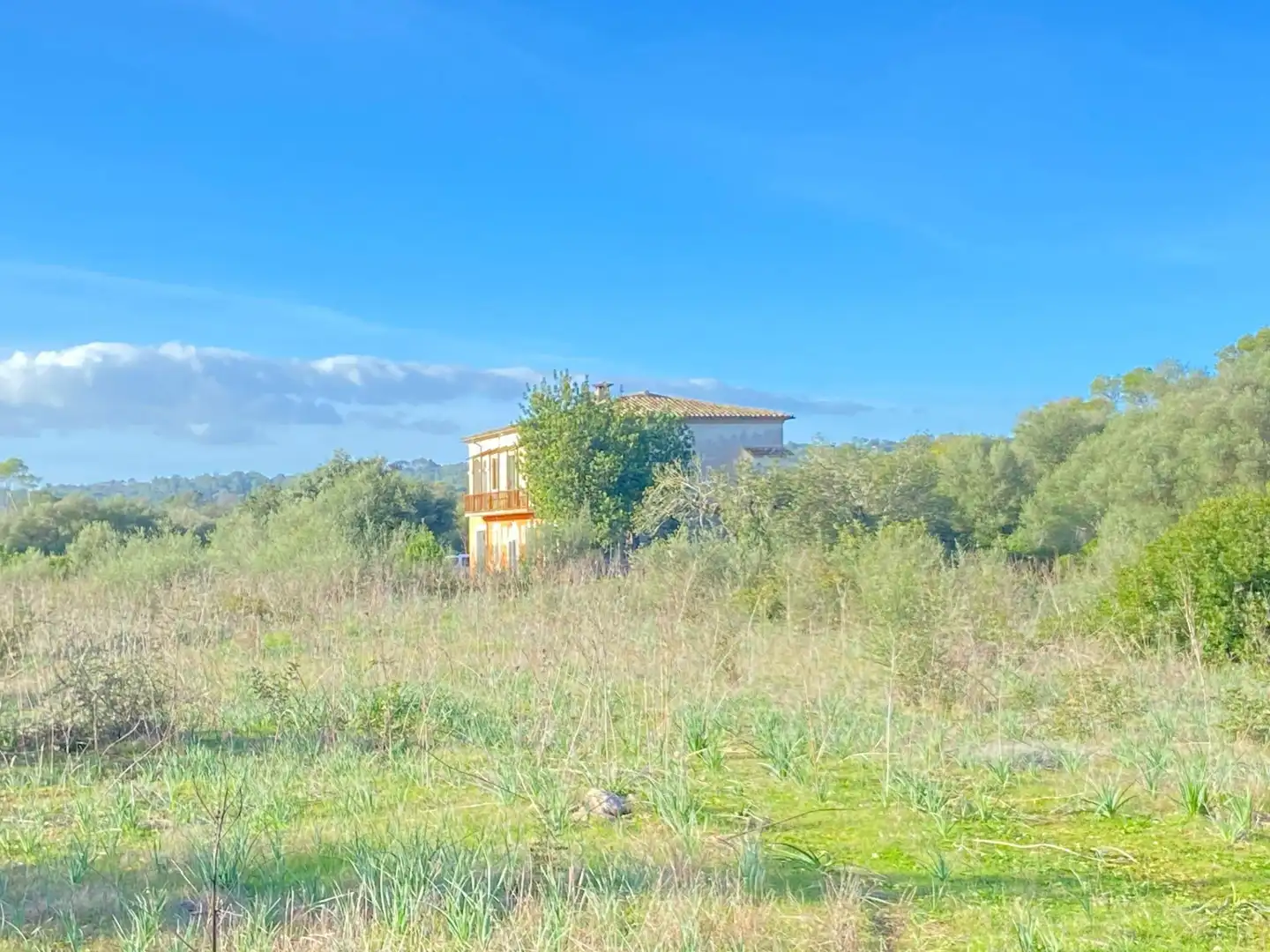 Maison rustique à vendre à Sineu, imagen 13