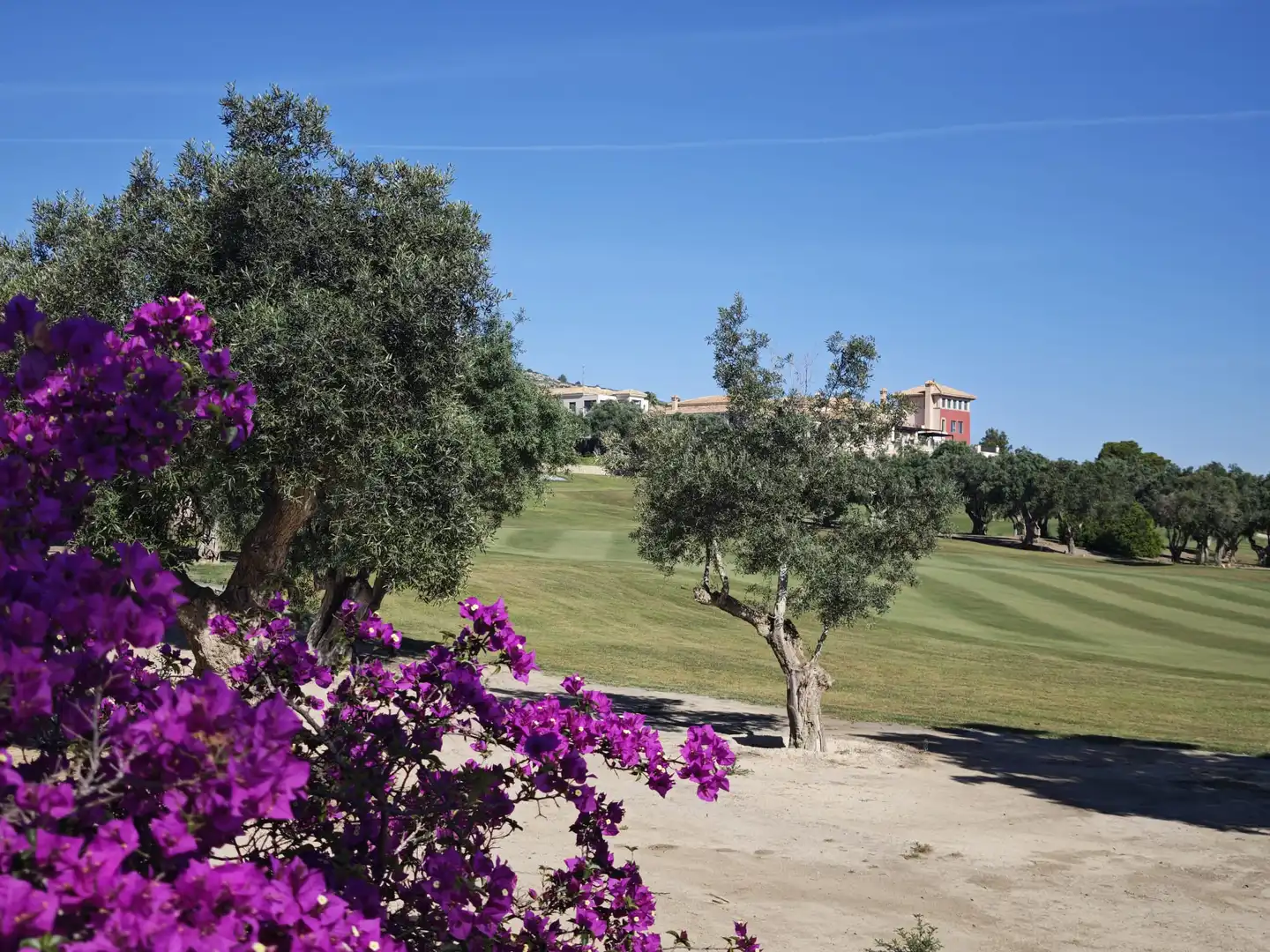 Maison à vendre à Algorfa, imagen 33