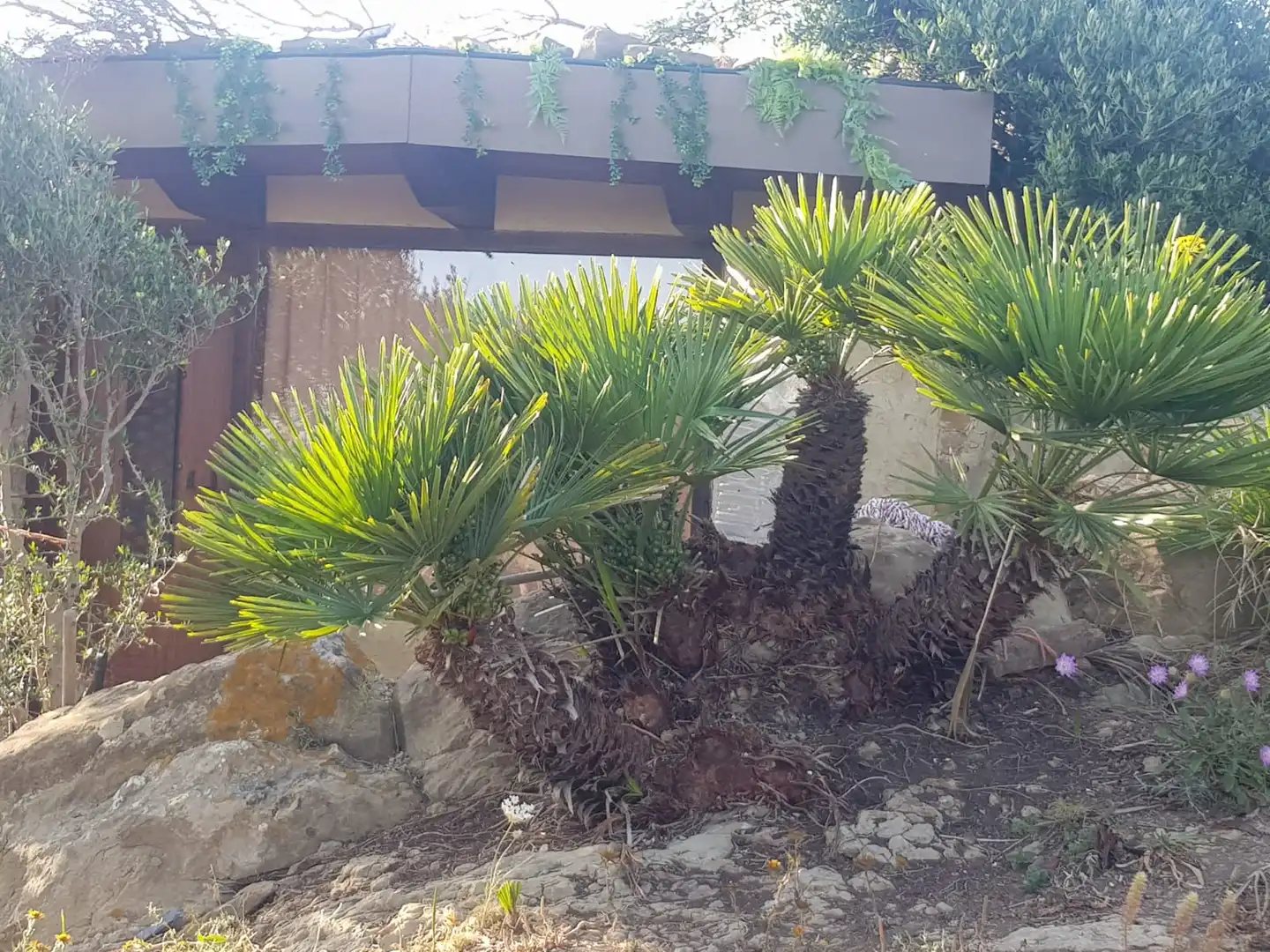 Terreni e lotti in vendita a Cañada de Matatoros 2, imagen 16