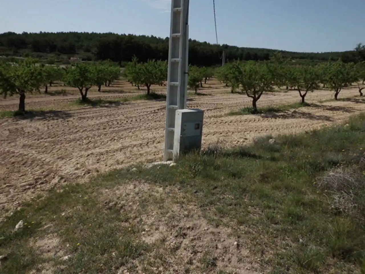 Terreno rustico in vendita a Almansa, imagen 4
